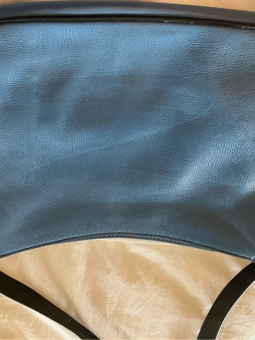 Fossil Cream and Blue Leather Saddle Crossbody with Black Strap - Picture 8 of 9